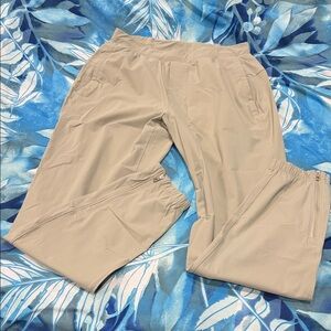 Lululemon Athletica Light Gray Pants